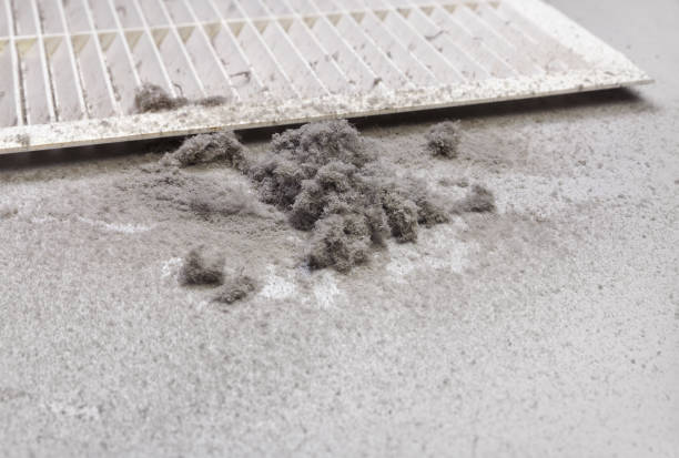 Best HVAC Air Duct Cleaning  in Southmayd, TX