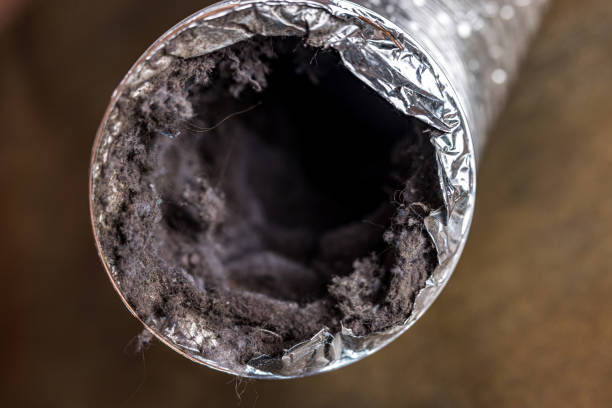 Best Commercial Air Duct Cleaning  in Southmayd, TX