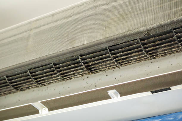Best Best Air Duct Cleaning Company  in Southmayd, TX